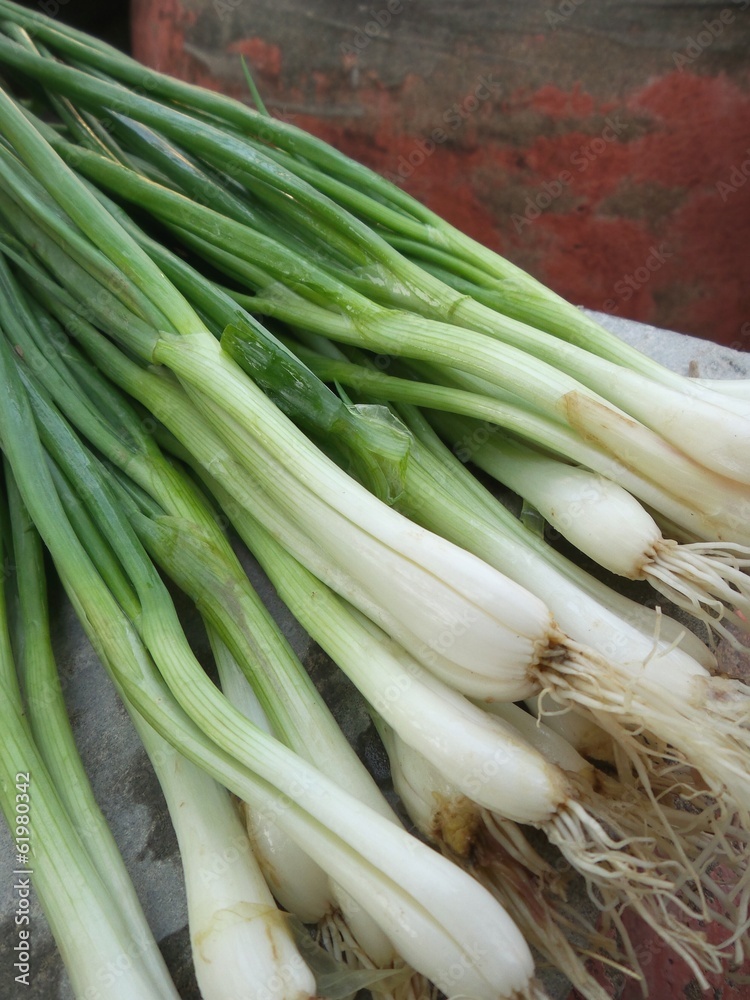Spring onions Spring onions