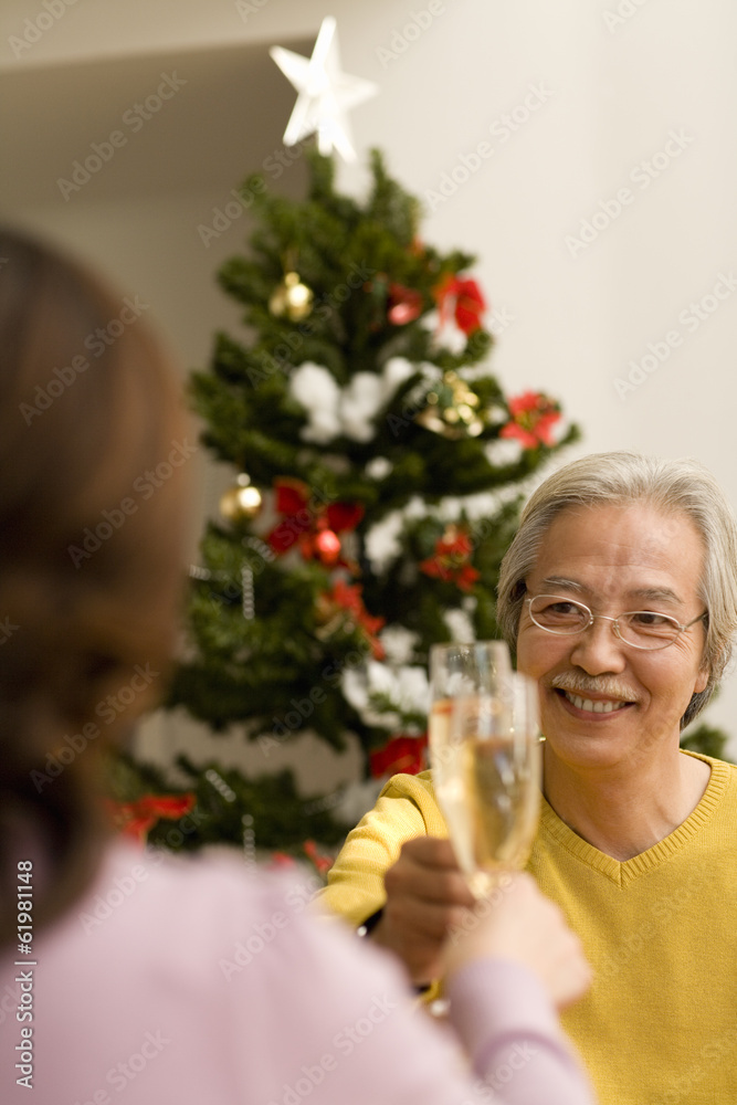 senior husband and wife having a toast with champagne senior husband and wife having a toast with champagne