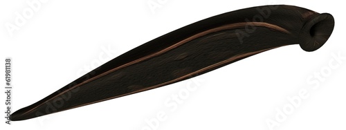 realistic 3d render of leech photo