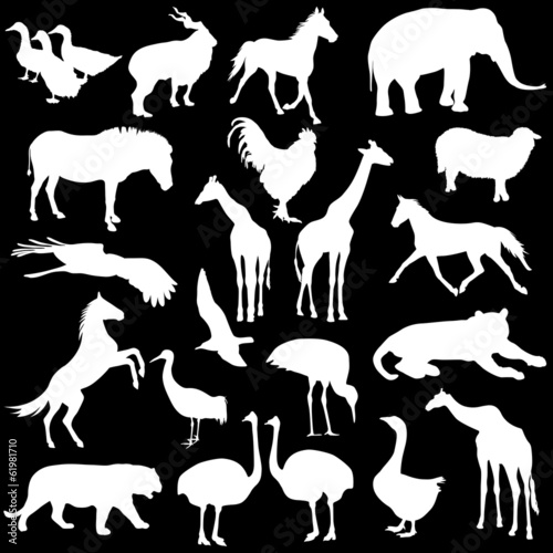 Black set silhouettes zoo animals collection on white backgroun