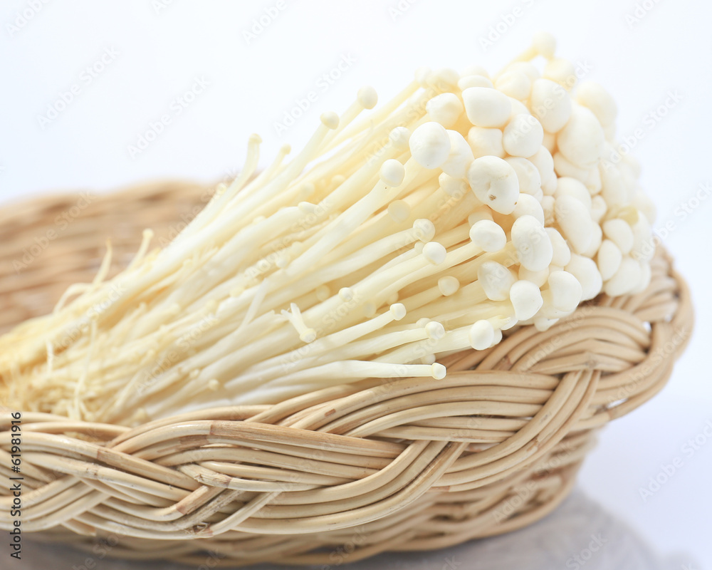 needle mushroom on white background needle mushroom on white background