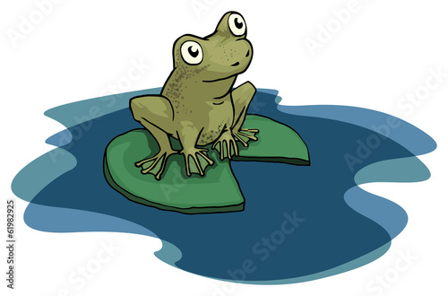 Green frog sitting on the pond leaf