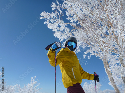 Nozawa onsen bluebird photo