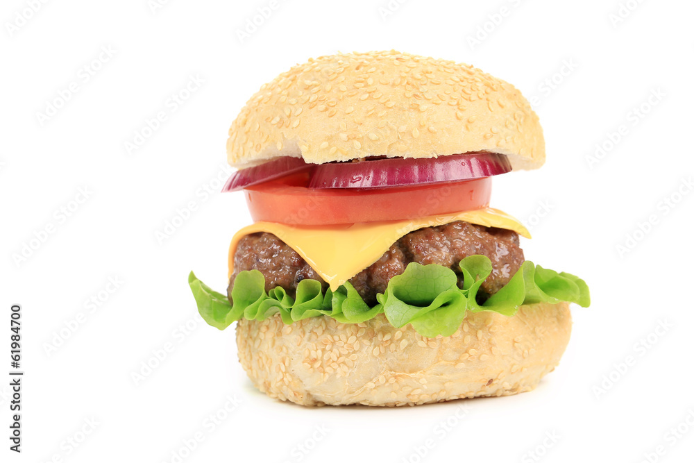 Appetizing fast food hamburger. Appetizing fast food hamburger.