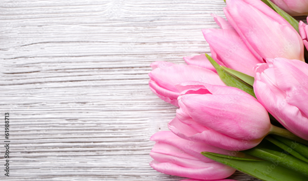 Tulip. Tulip.
