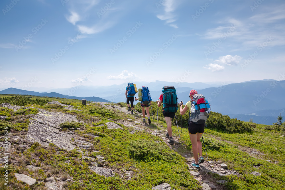 Obraz premium Young people are hiking in Carpathian mountains in summertime