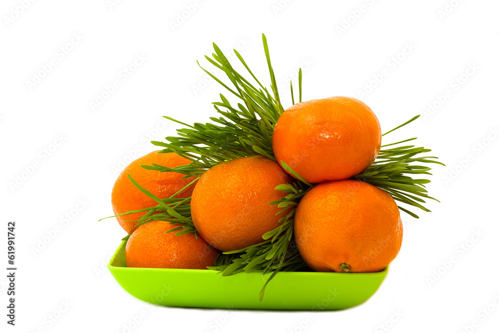 Mandarin in the grass Mandarin in the grass