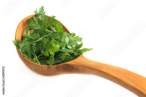 a pinch of parsley photo