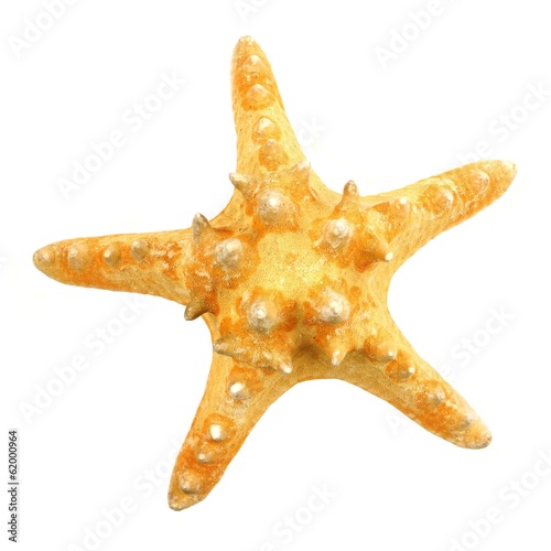 Single star fish isolated on a white background