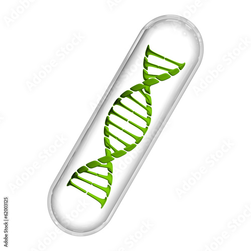 Photography DNA Capsule - Green & White