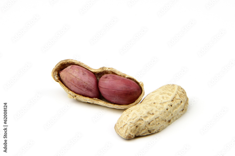 peanut peanut