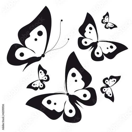 butterflies design