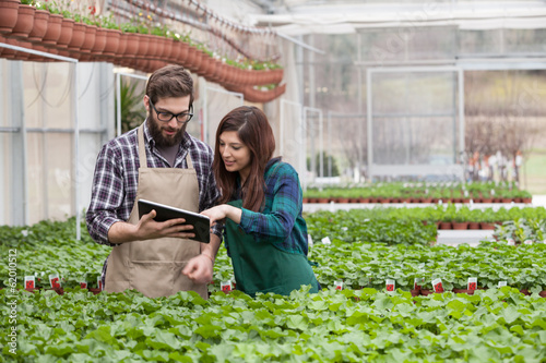Young adult garden worker in apron using digital tablet