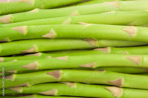 ripe green asparagus stalks