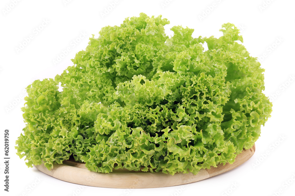 Fresh lettuce on wooden platter. Fresh lettuce on wooden platter.