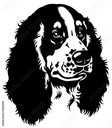 spaniel head black white