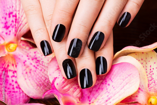 Beautiful women hands with black manicure photo