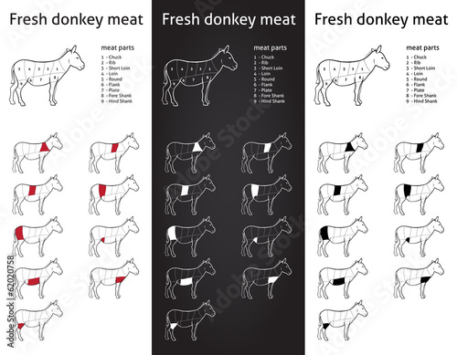 Fresh Donkey meat parts Icons for packaging and info-graphic