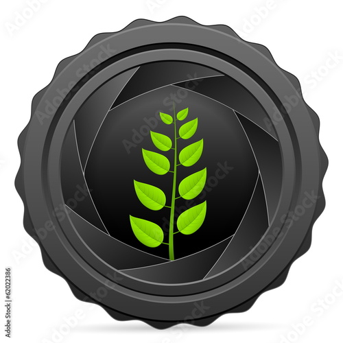 camera shutter with plant