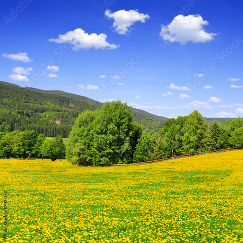 Spring landscape in the national park Sumava - Czech Republic