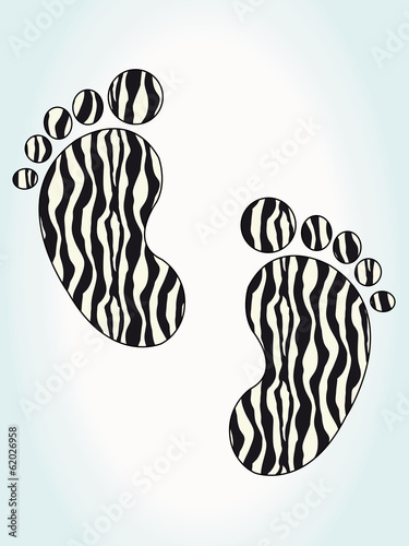 empreinte pieds zebres
