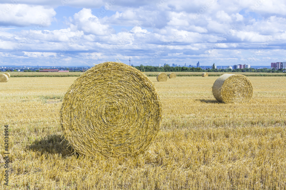 bale of straw on fields with blue sky