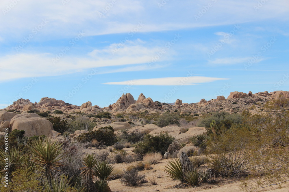 Joshua Tree National Park California Desert Landscape