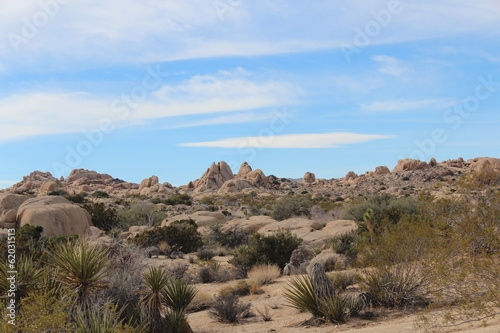 Joshua Tree National Park California Desert Landscape