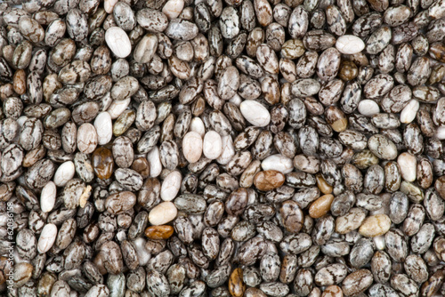 Seeds of the Chia plant (Salvia hispanica)