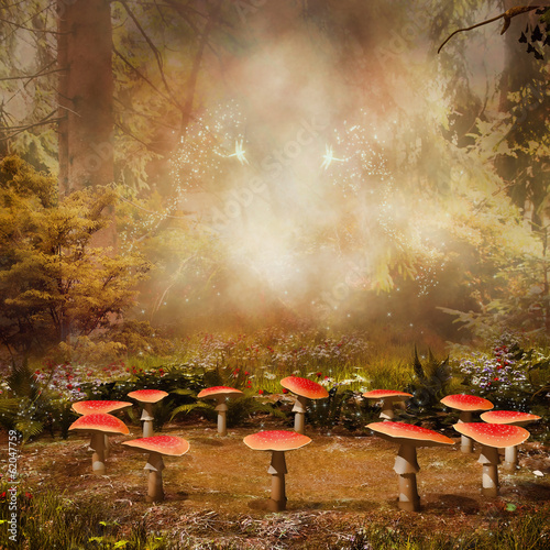 Fototapeta Baśniowy krąg grzybów w jesiennym lesie