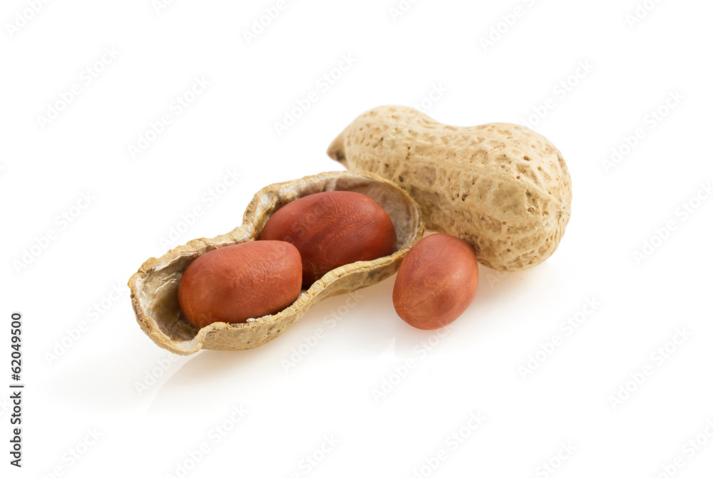 nuts peanuts on white nuts peanuts on white