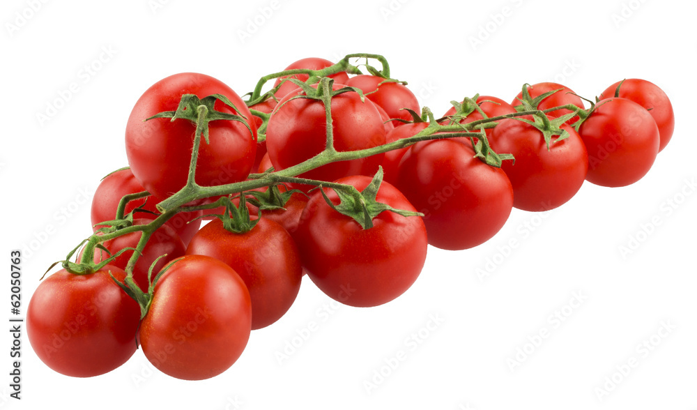 Cherry tomatoes on the branch - Isolated on white background Cherry tomatoes on the branch - Isolated on white background