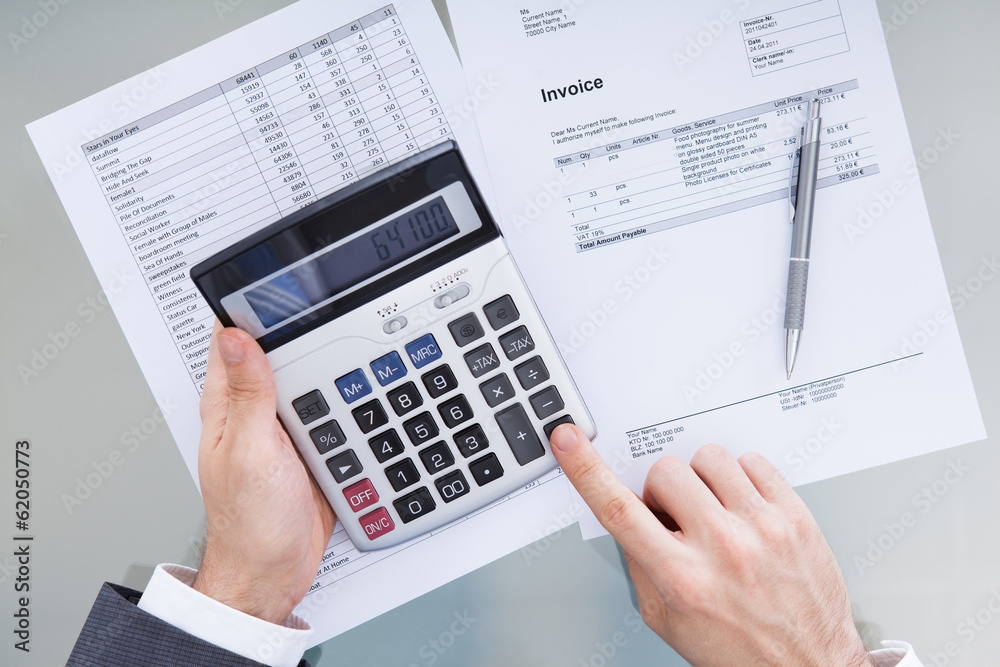 Businessperson Analyzing Financial Data Businessperson Analyzing Financial Data