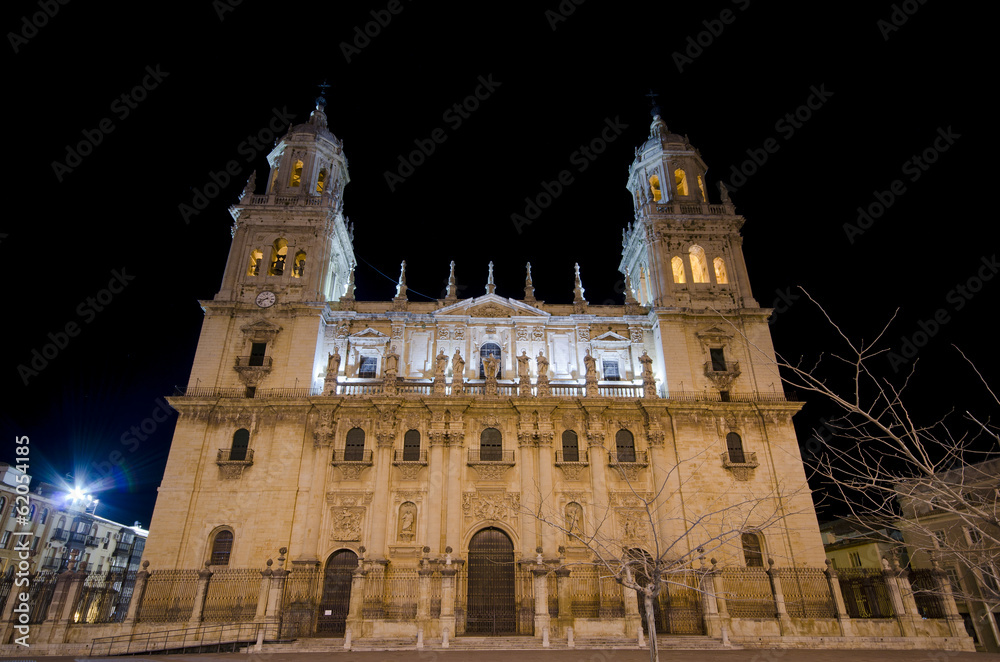 Fototapeta premium Jaen Cathedral