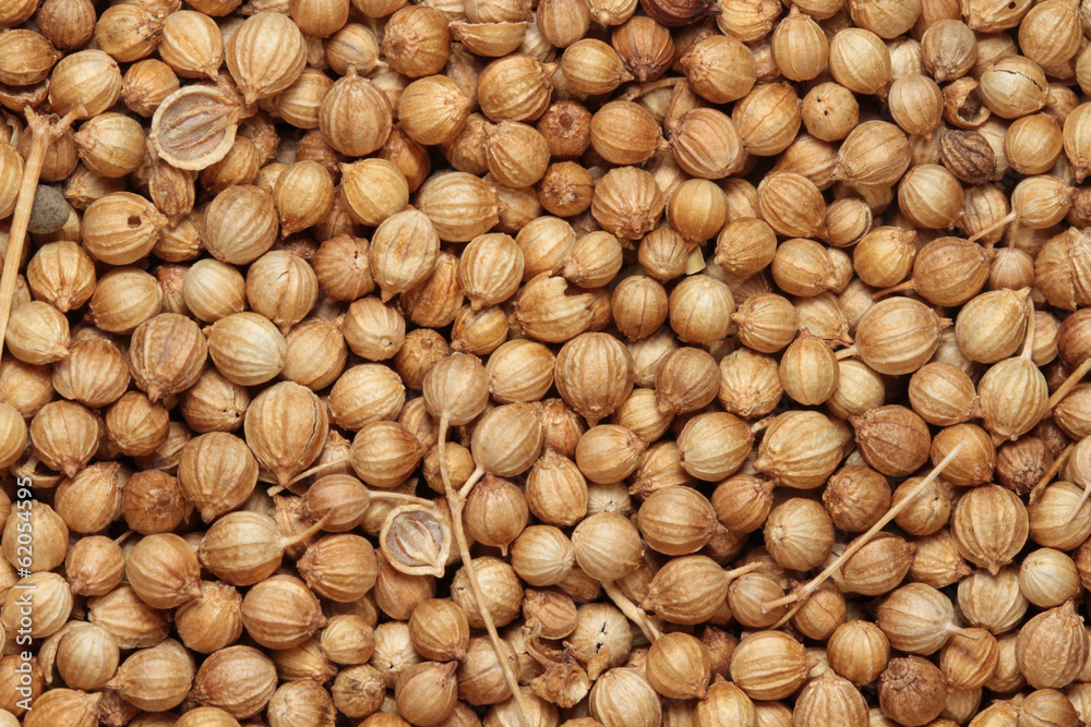 coriander seeds