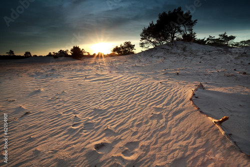 gold sunshine over sand dunes