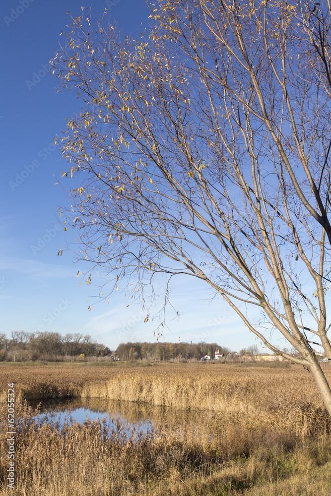 Church in the marsh 2