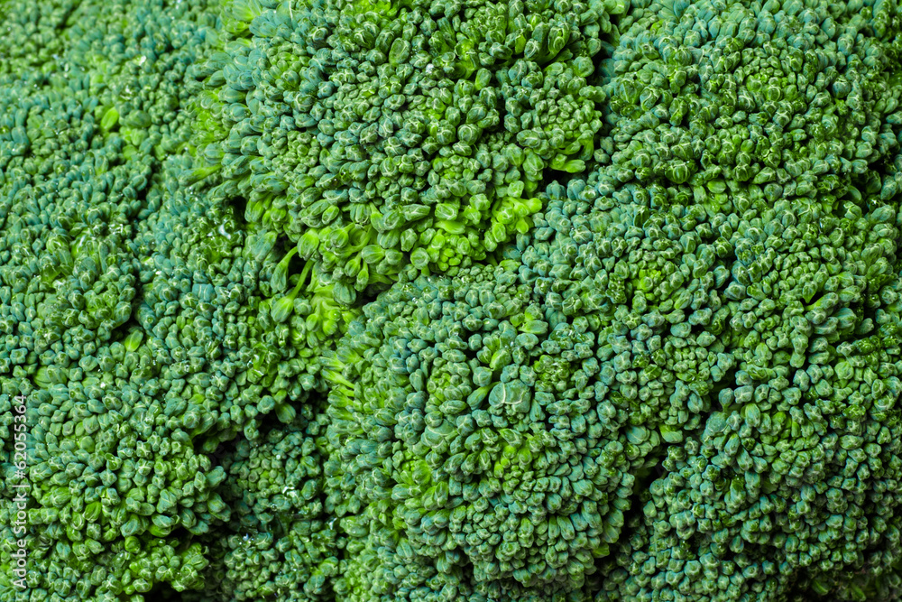 Close-up head of broccoli Close-up head of broccoli