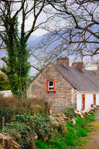 Cottage home on Irish country lane © littleny