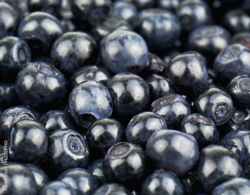 juicy blueberry © Volodymyr Shevchuk