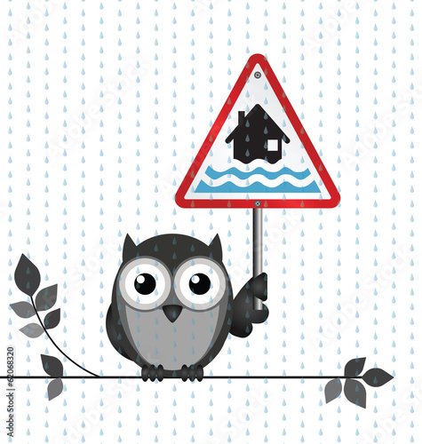 Owl with flood warning sign
