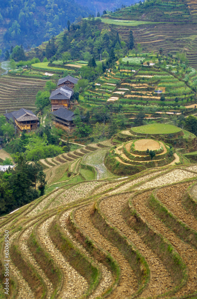 Rice Terraces in China