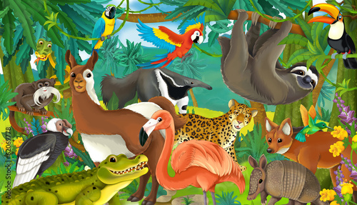 Photography Cartoon wild animals in the jungle - illustration for children