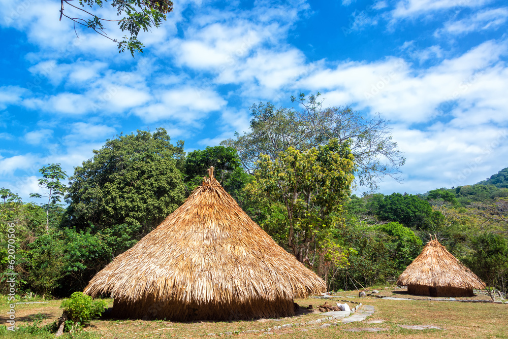 Two Indigenous Huts