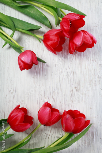 Fototapeta Naklejka Na Ścianę i Meble -  Red tulips on white wooden board