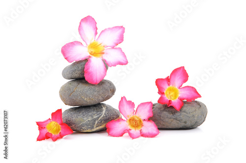 Fototapeta Naklejka Na Ścianę i Meble -  Zen And Spa Stone With Fangipani Flower