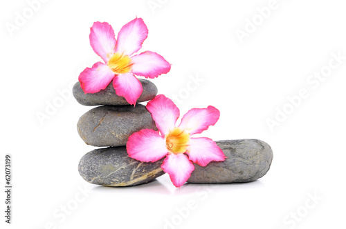 Zen And Spa Stone With Frangipani Flower