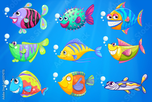 Nine colorful fishes under the sea