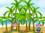 A beach with coconut trees and playful monkeys