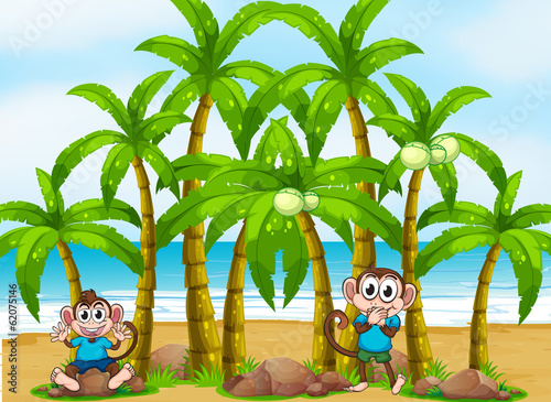 A beach with tall coconut trees and playful monkeys